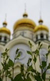 DSC09856.jpg