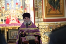 IMG_4684.JPG