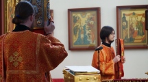 DSC08792.jpg
