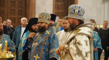 DSC05650.jpg
